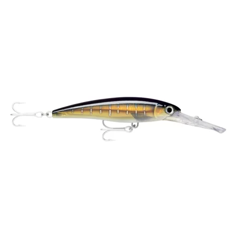 Rapala XRMAG20 X-Rap Magnum 14CM