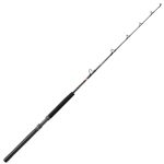 Penn Squall II Trolling Casting Rod
